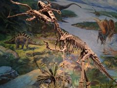 -自贡恐龙博物馆