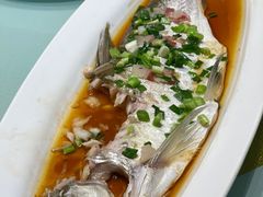 -梅飞酒家(桑园路店)