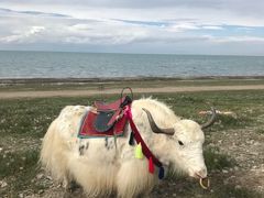 -青海湖国家重点风景名胜区