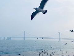 -星海广场
