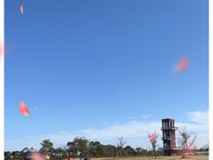 -春花秋色城市公园