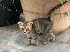 -百花人家(清水镇店)