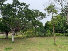 -福田红树林生态公园