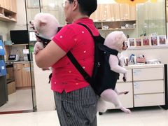 -瑞鹏宠物医院·微创内窥镜·骨外科·牙科(翠竹分院)