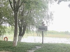 -泗洪洪泽湖湿地景区