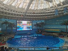 -海合安成都极地海洋公园