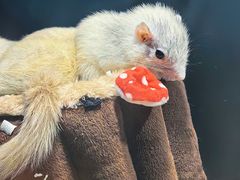 -太平洋海底世界