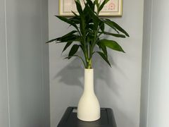 -田凤波推拿.按摩养生(幸福店)