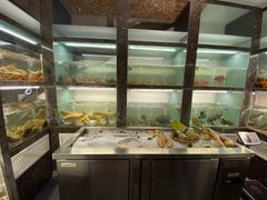 -甄御•海鲜新青岛菜(麦岛店)