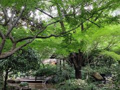 -中国茶叶博物馆(双峰馆区)