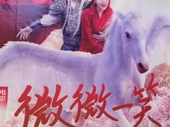 -武商摩尔影城(国广IMAX激光店)