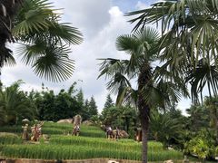 -云南民族村