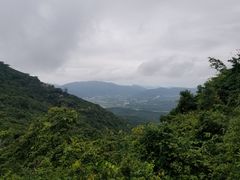 -三亚亚龙湾人间天堂鸟巢度假村
