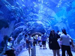 -华夏文旅海洋公园