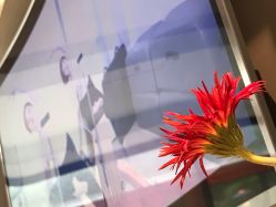 -JC·YOGA静禅瑜伽普拉提