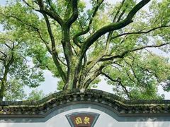 -古琴台