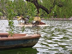 -翠湖公园