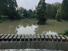 -桤木河湿地公园