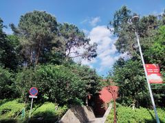 -铁山坪森林公园