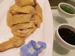 白斩鸡-金时代顺风大酒店(协泰店)