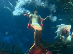 -海合安武汉极地海洋公园
