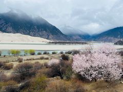-佛掌沙丘