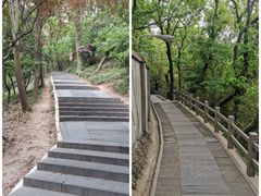 -上海佘山国家森林公园西佘山园