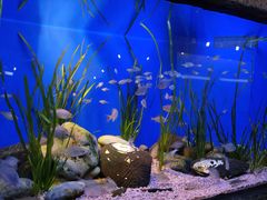 -上海海洋水族馆