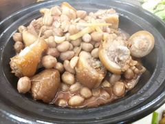 猪尾花生煲-正宗高流河饭店原创风姜鸡