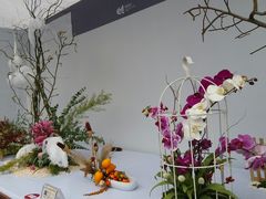 -重庆市江北嘴中央商务区中央公园