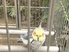 -南宫五洲植物乐园