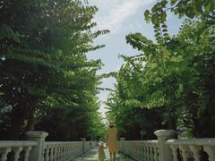 -百万葵园