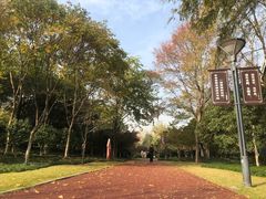 -杭州城北体育公园