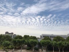 -华东政法大学(松江校区)