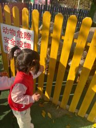 -萌宠亲子动物乐园(槐房万达店)