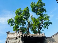 -保定直隶总督署博物馆