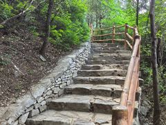 -山东大学学府大酒店(千佛山地铁站店)