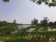 -东郊湿地公园