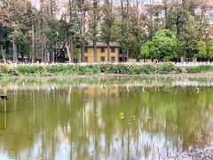 -翠湖公园