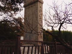 -团结湖公园