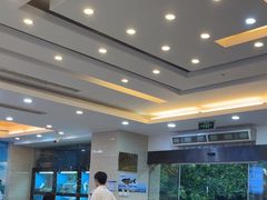 -浔味·山屿湖·正宗淳牌全鱼宴老字号