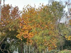 -云龙湖旅游景区