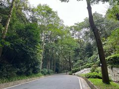 -广州市白云山风景名胜区