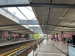 -毛氏汽水包(山海关路店)