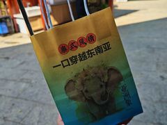 -西双版纳原始森林公园