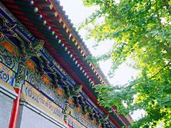 -法门文化景区