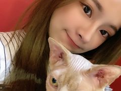 -猫色咖啡·猫咖