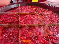 -厂花素芬九宫格火锅(益州大道店)
