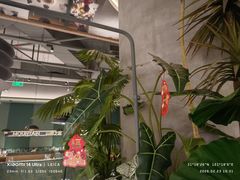 -芸山季·云南山珍菌火锅(南翔印象城MEGA店)