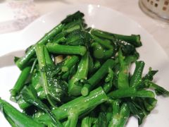 姜汁炒芥兰苗-陶陶居酒家(海岸城店)